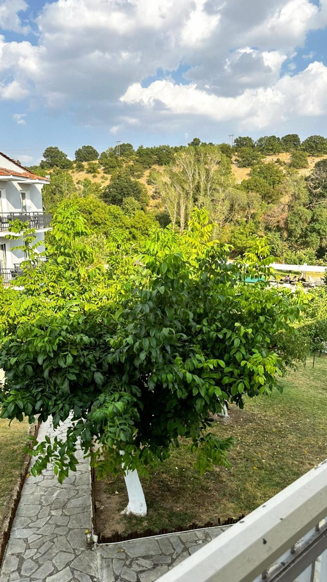 Tselikas Hotel Кожани Стая снимка